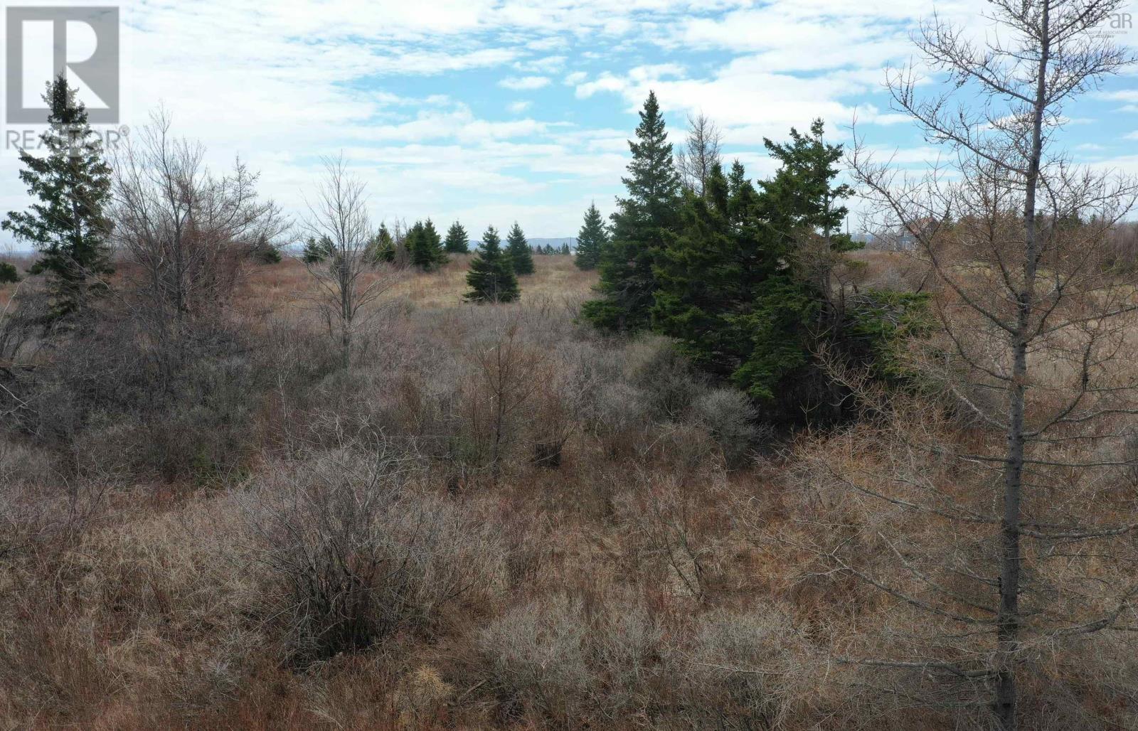 Lot 33 Malagash Road, Malagash Point, Nova Scotia  B0K 1E0 - Photo 12 - 202609488