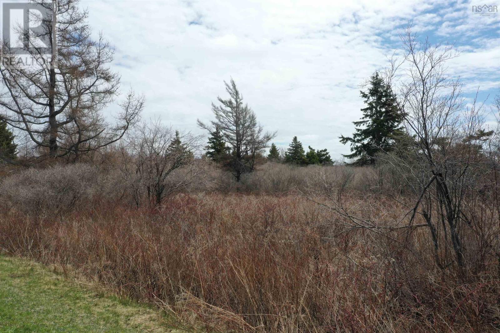Lot 33 Malagash Road, Malagash Point, Nova Scotia  B0K 1E0 - Photo 15 - 202609488