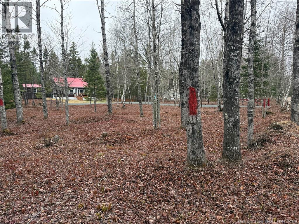 44 Stillwater Lane, Second Falls, New Brunswick  E5H 3E9 - Photo 4 - NB138484