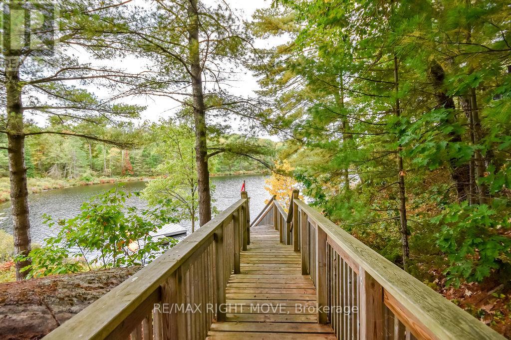 6 Pinetree Road, Gravenhurst, Ontario  P1P 1R2 - Photo 36 - X13076504