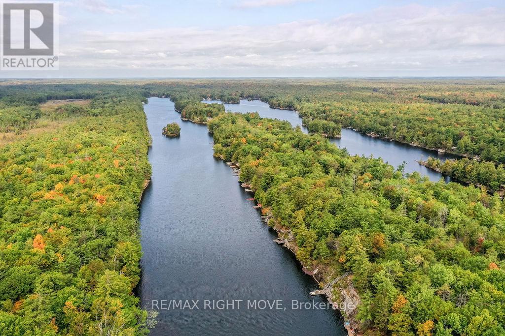 6 Pinetree Road, Gravenhurst, Ontario  P1P 1R2 - Photo 49 - X13076504
