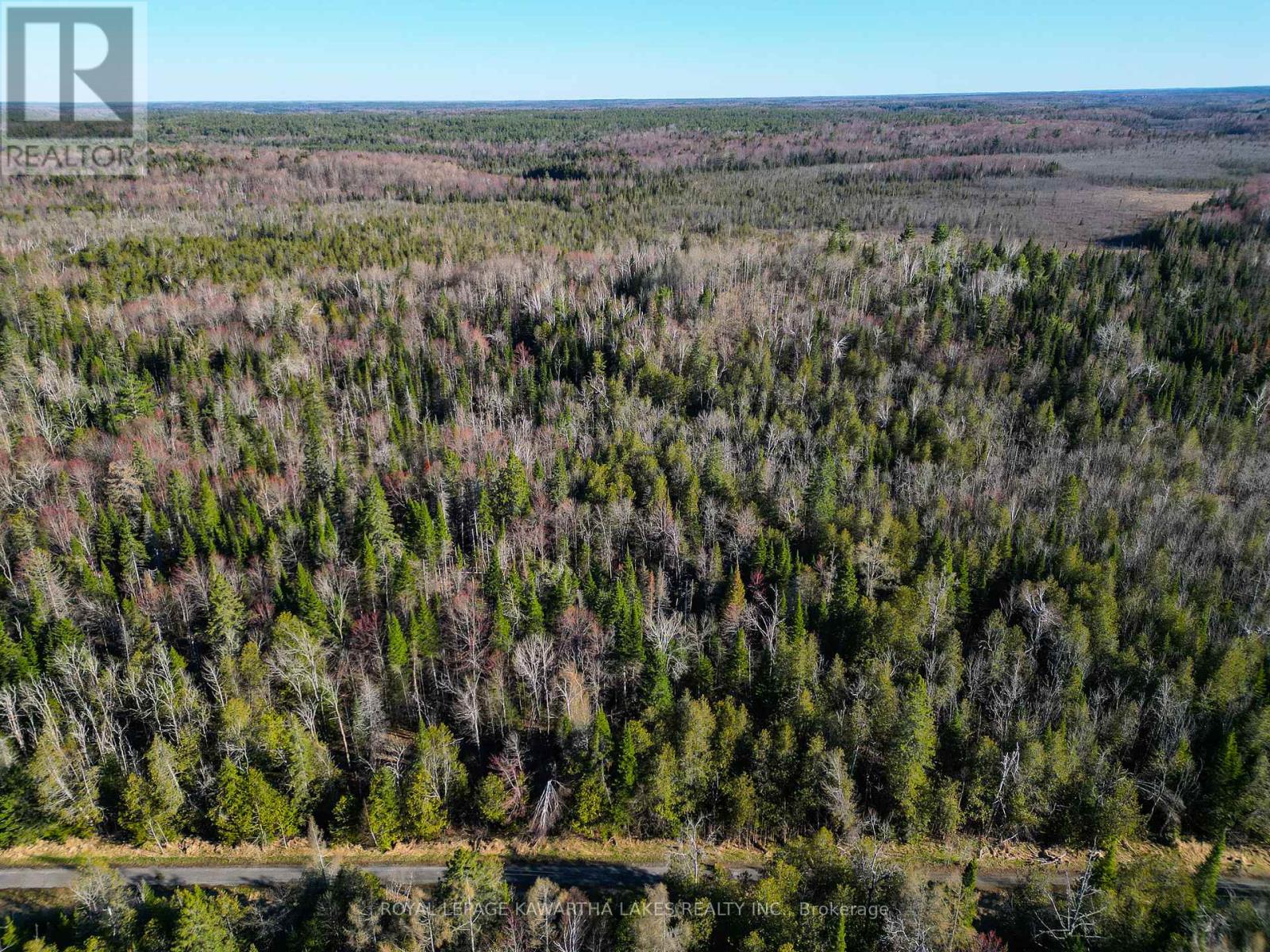 Lt 4 Dutch Line Road W, Trent Lakes, Ontario  K0M 2A0 - Photo 10 - X13076660