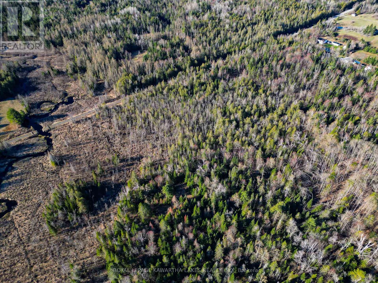 Lt 4 Dutch Line Road W, Trent Lakes, Ontario  K0M 2A0 - Photo 11 - X13076660