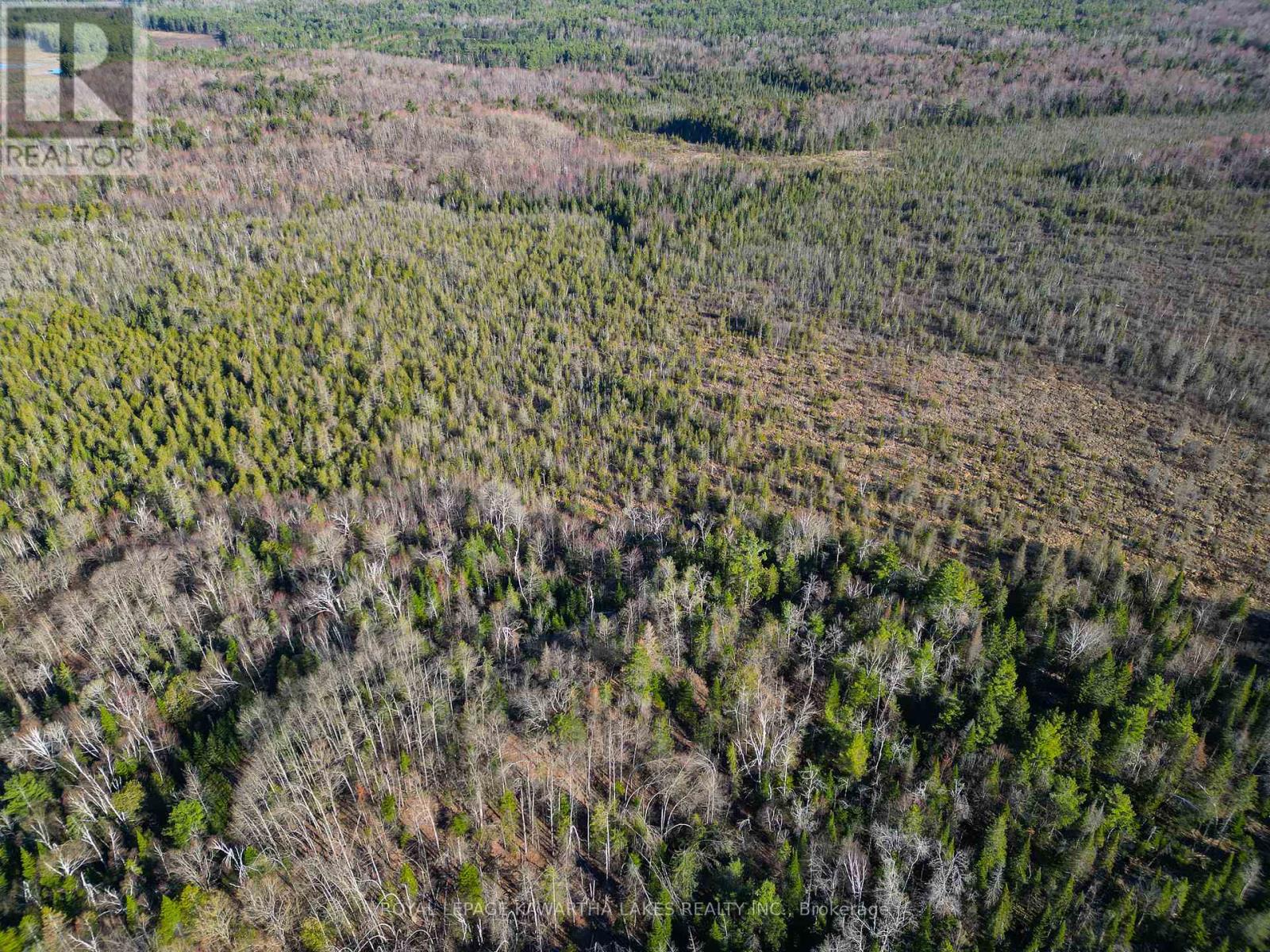 Lt 4 Dutch Line Road W, Trent Lakes, Ontario  K0M 2A0 - Photo 13 - X13076660
