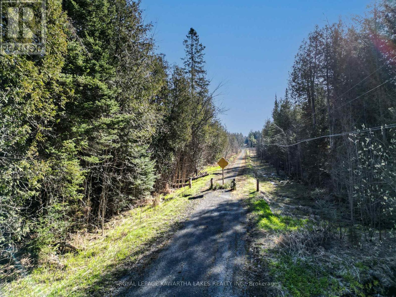 Lt 4 Dutch Line Road W, Trent Lakes, Ontario  K0M 2A0 - Photo 4 - X13076660