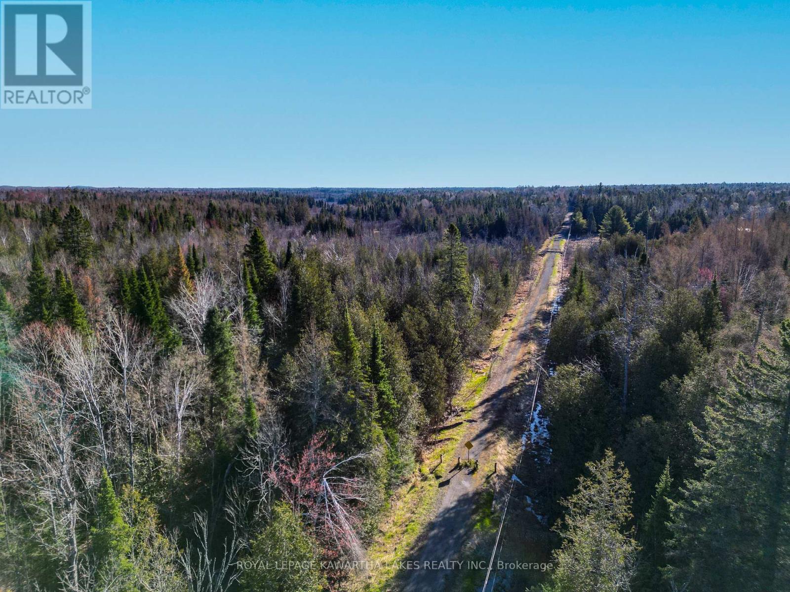 Lt 4 Dutch Line Road W, Trent Lakes, Ontario  K0M 2A0 - Photo 6 - X13076660