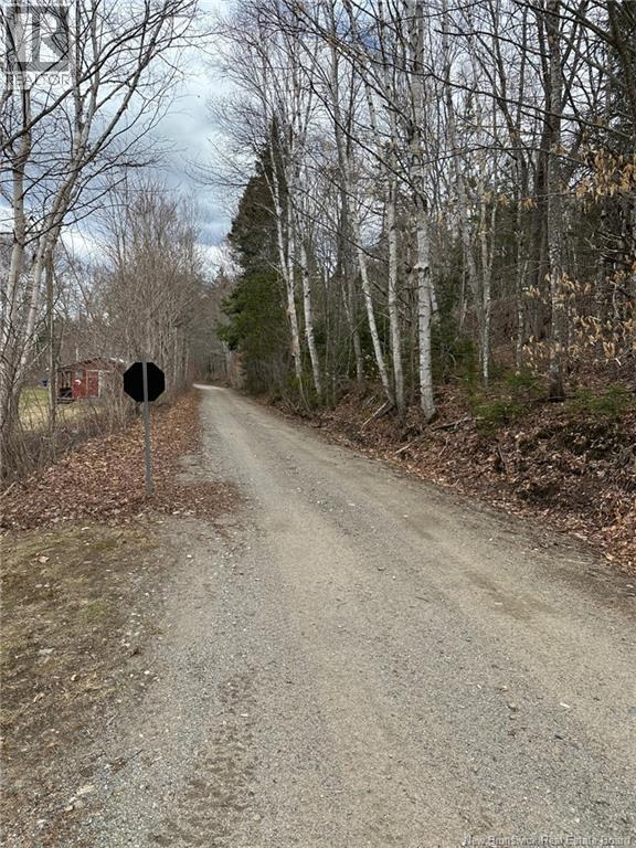114 Mcnamee Road, Mcnamee, New Brunswick  E9C 2G6 - Photo 48 - NB138452
