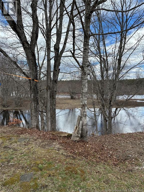 114 Mcnamee Road, Mcnamee, New Brunswick  E9C 2G6 - Photo 43 - NB138452