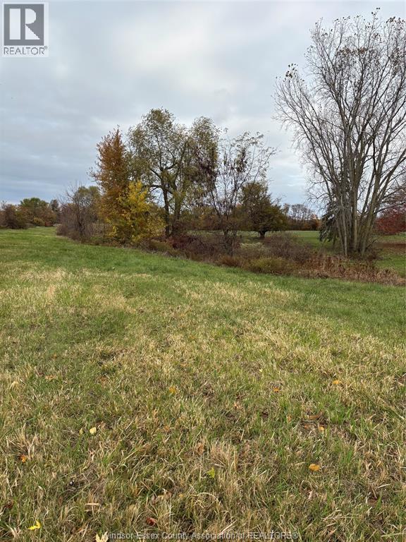 V/l County Rd 20 W, Kingsville, Ontario  N9Y 2E6 - Photo 14 - 26009921
