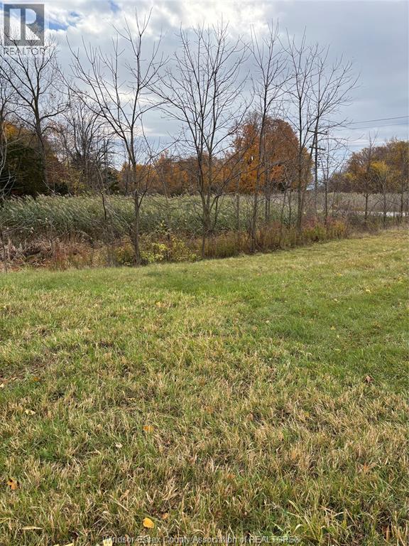 V/l County Rd 20 W, Kingsville, Ontario  N9Y 2E6 - Photo 15 - 26009921