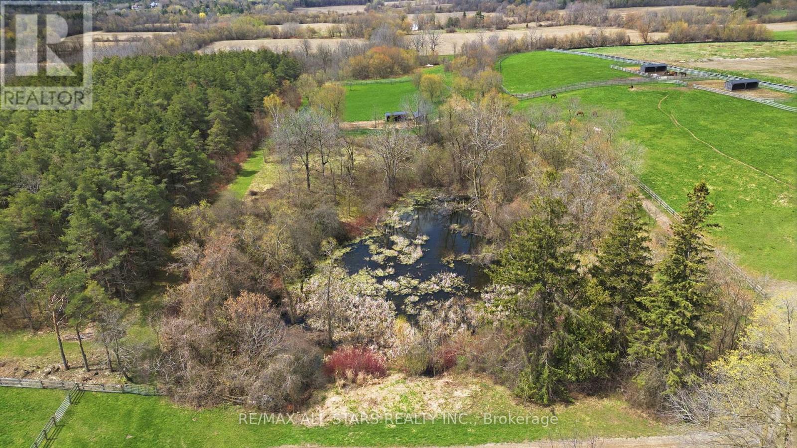 13342 Warden Avenue, Whitchurch-Stouffville, Ontario  L4A 7X8 - Photo 38 - N13009388