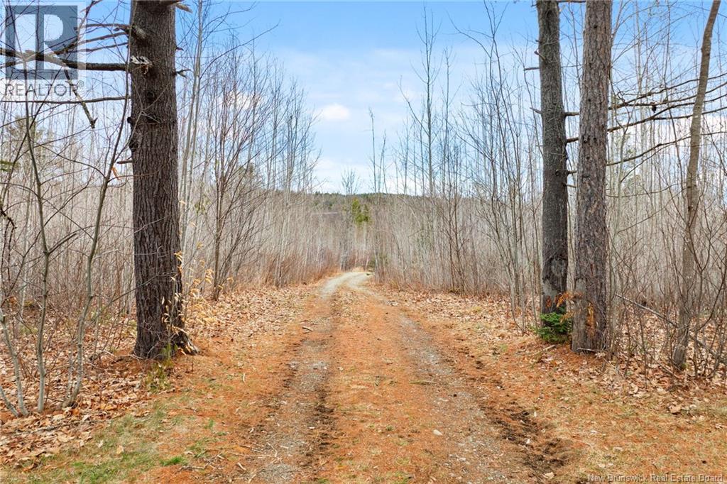 1832 Route 105, Southampton, New Brunswick  E6G 1M6 - Photo 8 - NB135221