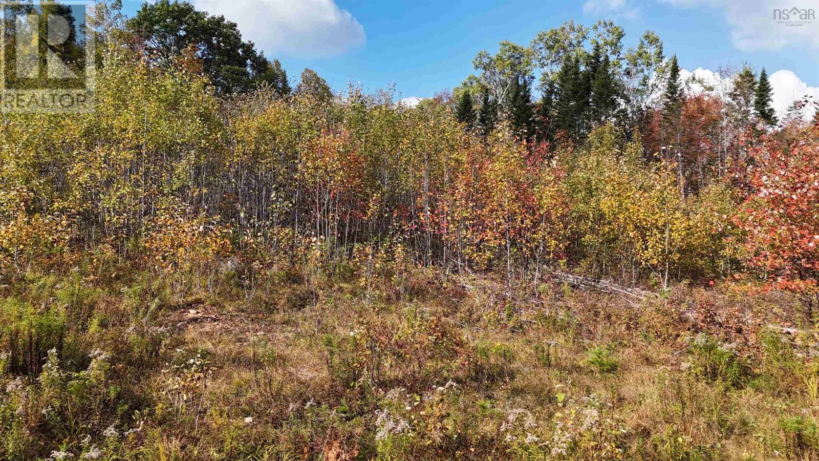 Lot Chesley Road, Barss Corner, Nova Scotia  B0R 1A0 - Photo 7 - 202525857