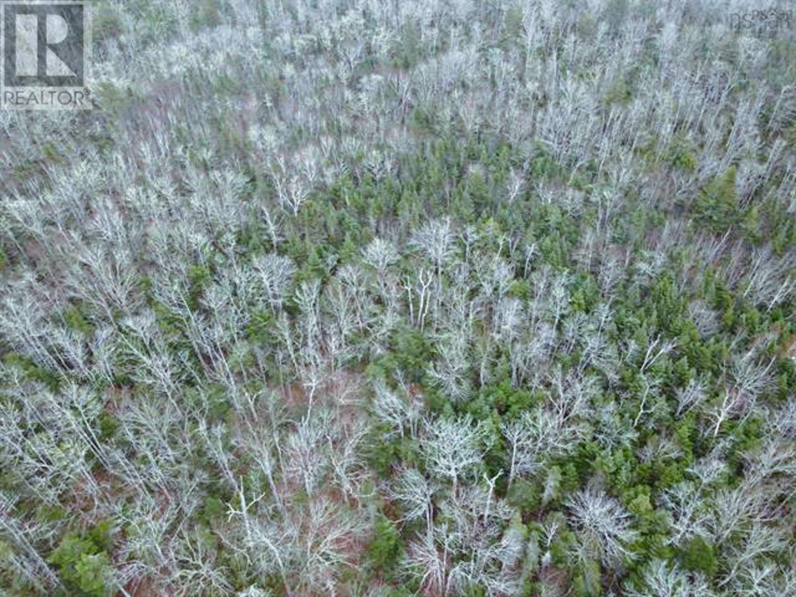A95-2 Lakecrest Drive, Mount Uniacke, Nova Scotia  B0N 1Z0 - Photo 2 - 202528043