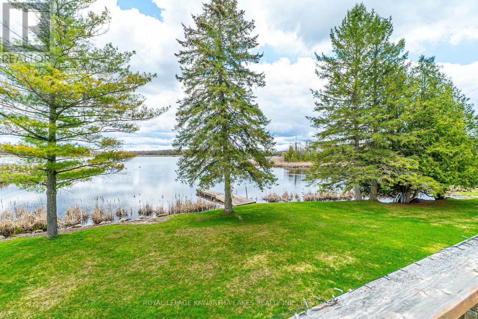 1 Bridle Road, Kawartha Lakes, Ontario  K9V 4R2 - Photo 37 - X13077400