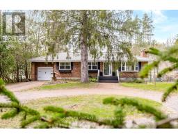 12 ALEXANDER STREET, Springwater, Ontario