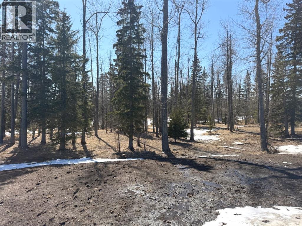28-590059 Range Road 110, Rural Woodlands County, Alberta  T7S 1W2 - Photo 36 - A2305214