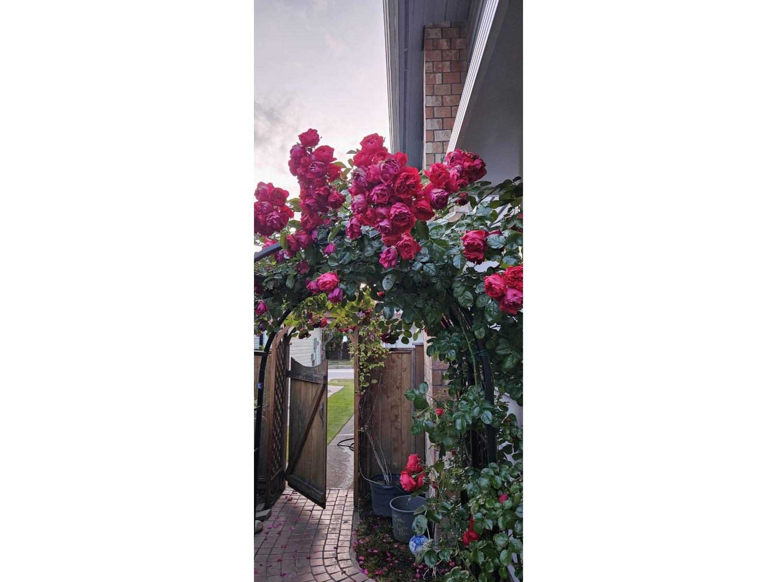 1898 Southmere Crescent, Surrey, British Columbia  V4A 6W9 - Photo 5 - R3088982