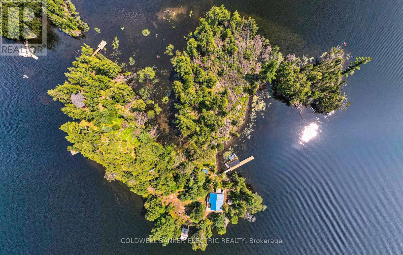 820 Island 28, Havelock-Belmont-Methuen, Ontario  K0L 1A0 - Photo 37 - X13077544