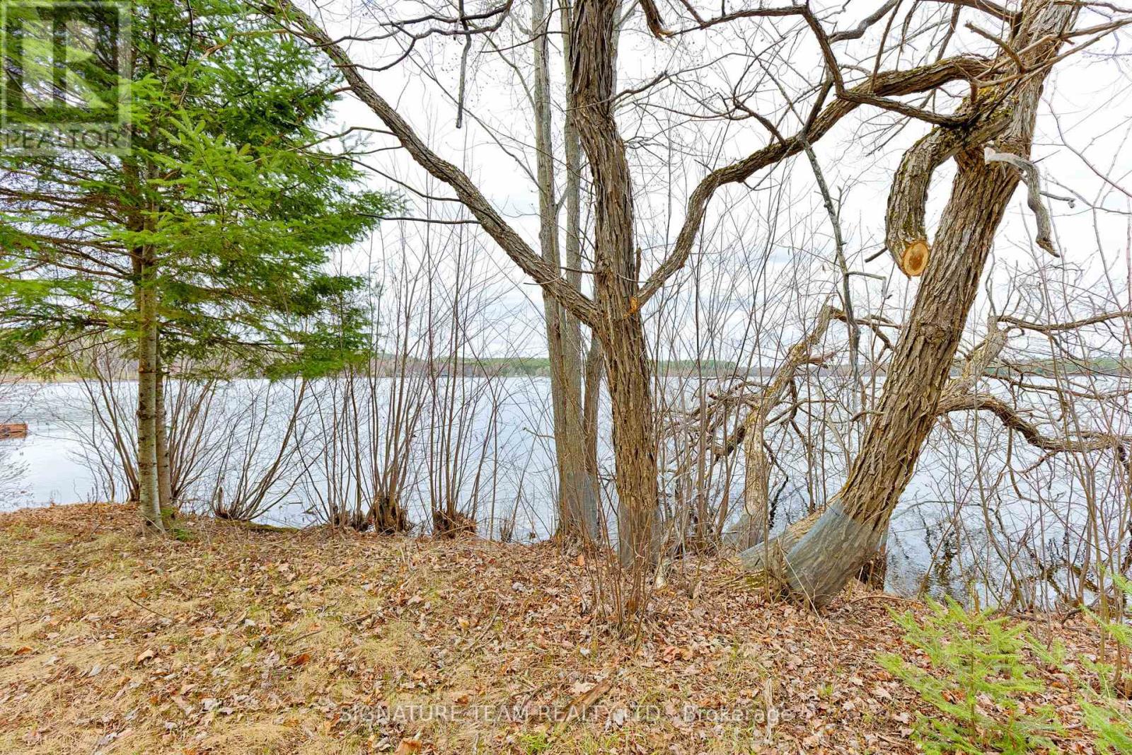 7b Bunchberry Lane, North Algona Wilberforce, Ontario  K0J 1X0 - Photo 17 - X13077598