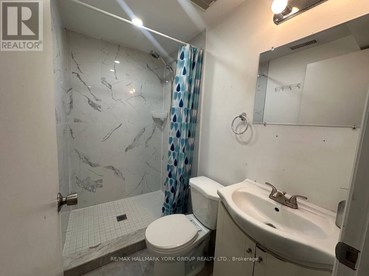 Basement - 222 Currey Crescent, Newmarket, Ontario  L3Y 5M9 - Photo 12 - N13077556