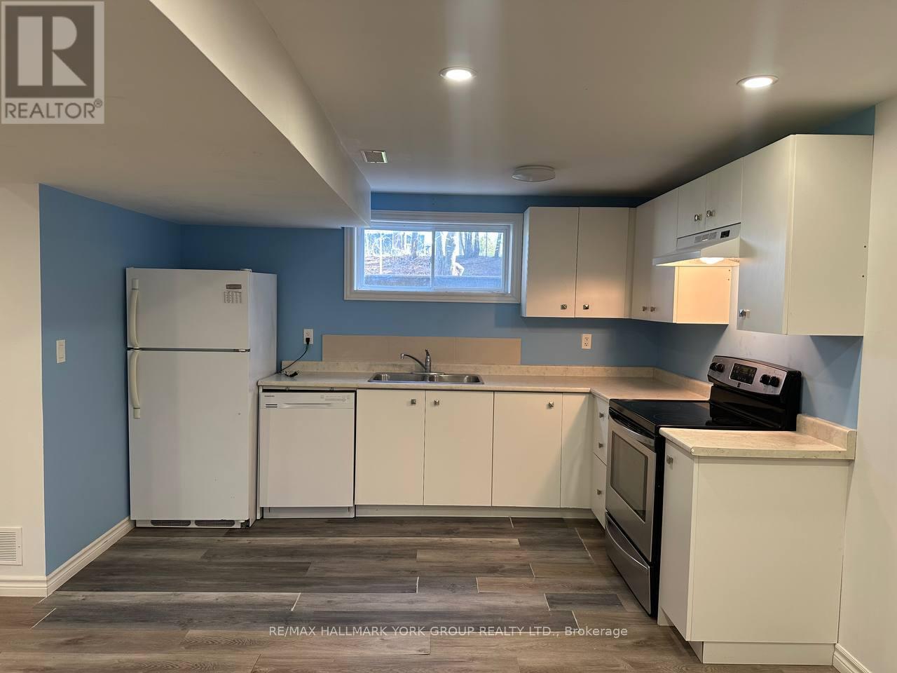 Basement - 222 Currey Crescent, Newmarket, Ontario  L3Y 5M9 - Photo 3 - N13077556