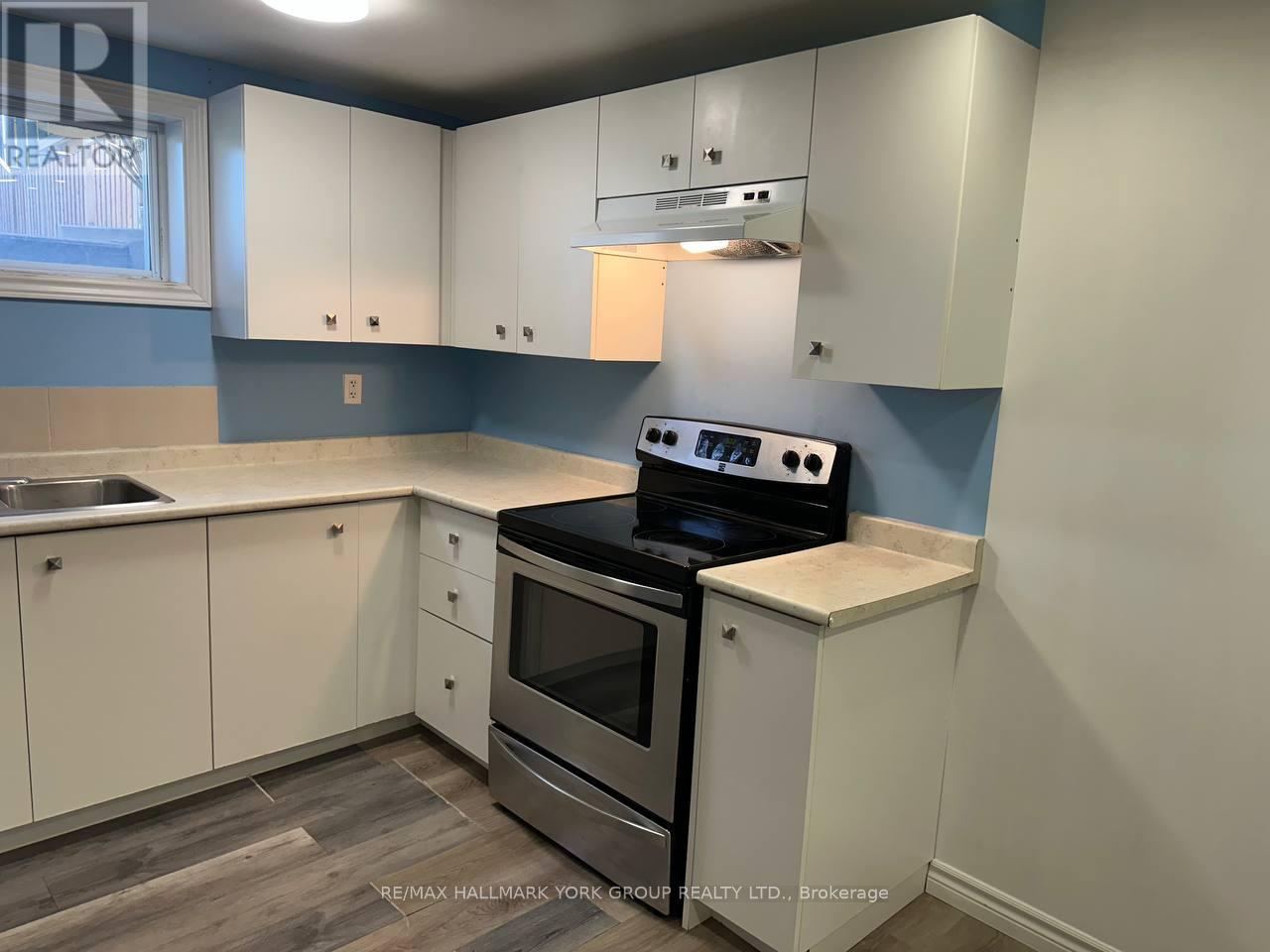 Basement - 222 Currey Crescent, Newmarket, Ontario  L3Y 5M9 - Photo 5 - N13077556