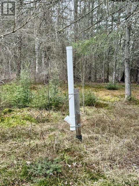 2069 Highway 17 E, Massey, Ontario  P0P 1P0 - Photo 33 - 2127300