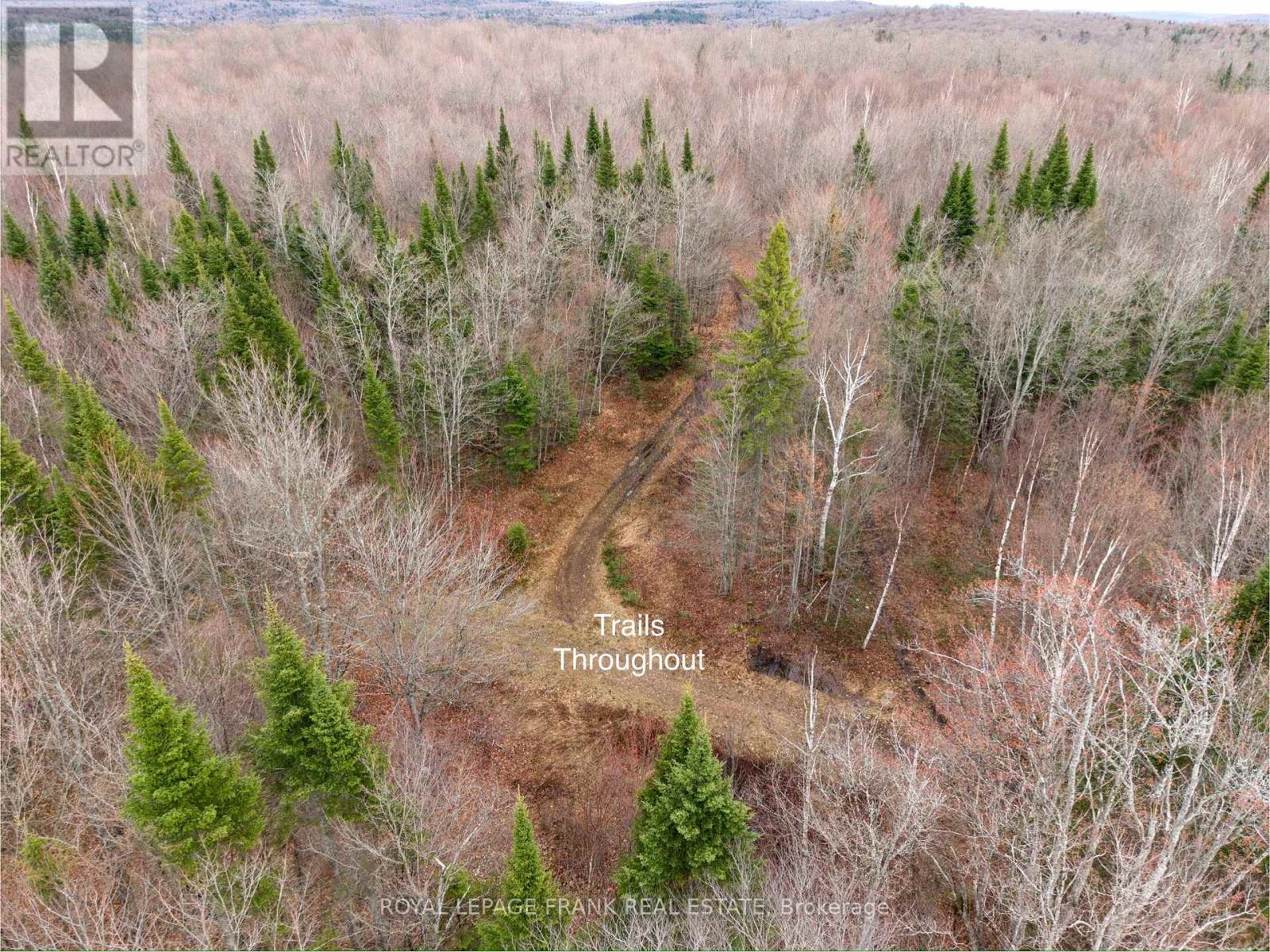 841 Mckenzie Lk Road N, South Algonquin, Ontario  K0J 2M0 - Photo 5 - X13070184