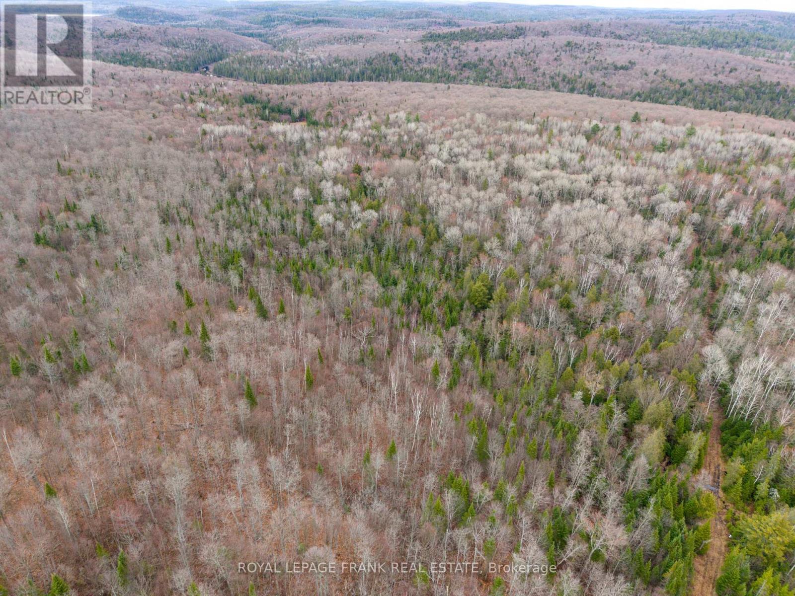 841 Mckenzie Lk Road N, South Algonquin, Ontario  K0J 2M0 - Photo 10 - X13070184