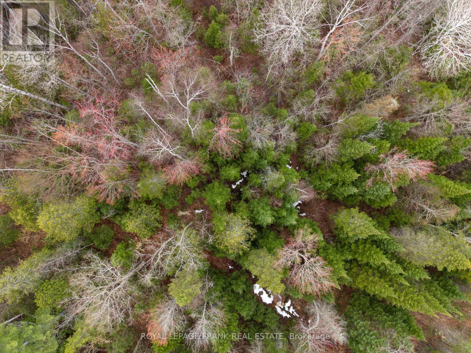 841 Mckenzie Lk Road N, South Algonquin, Ontario  K0J 2M0 - Photo 12 - X13070184
