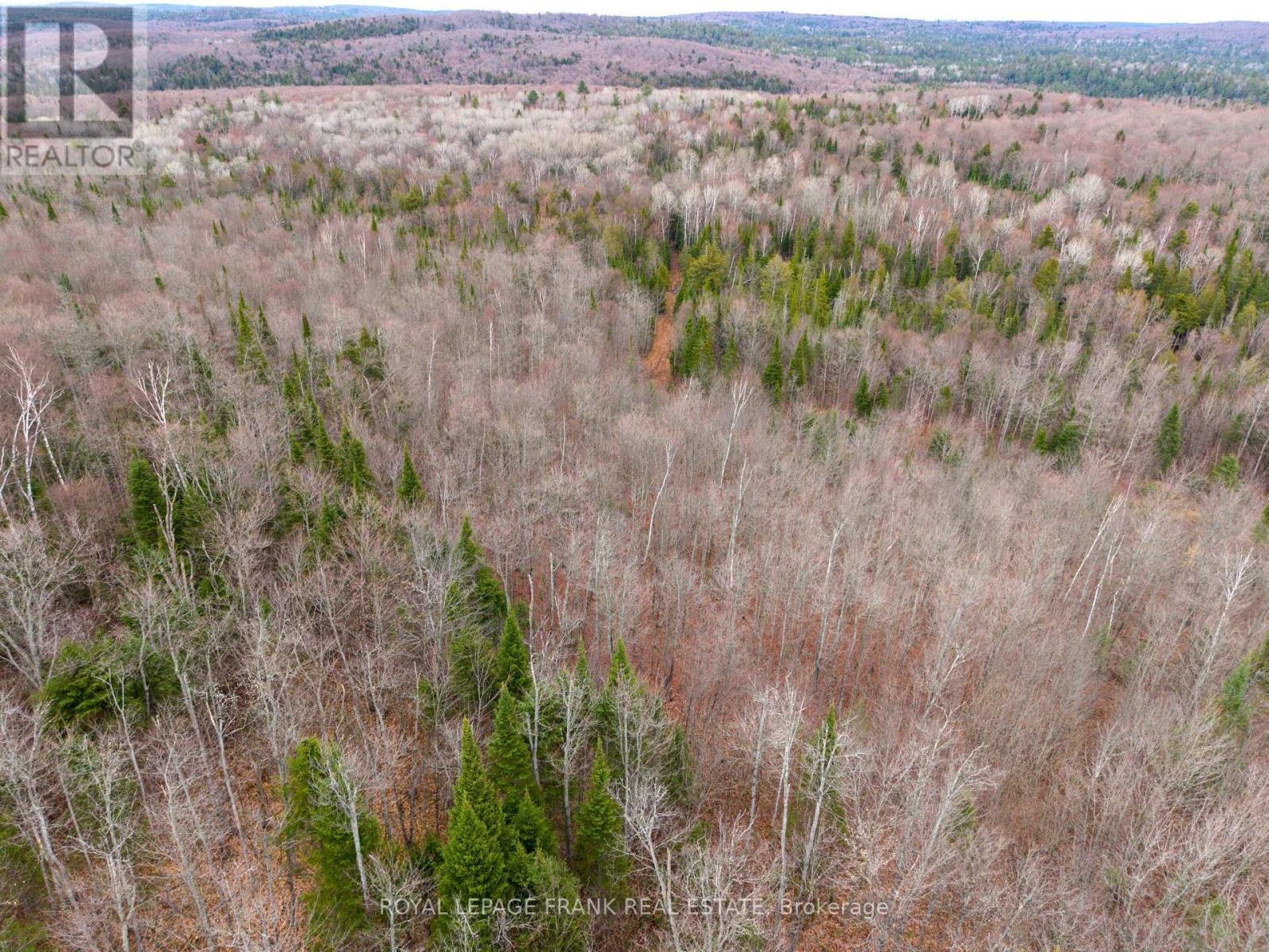 841 Mckenzie Lk Road N, South Algonquin, Ontario  K0J 2M0 - Photo 8 - X13070184