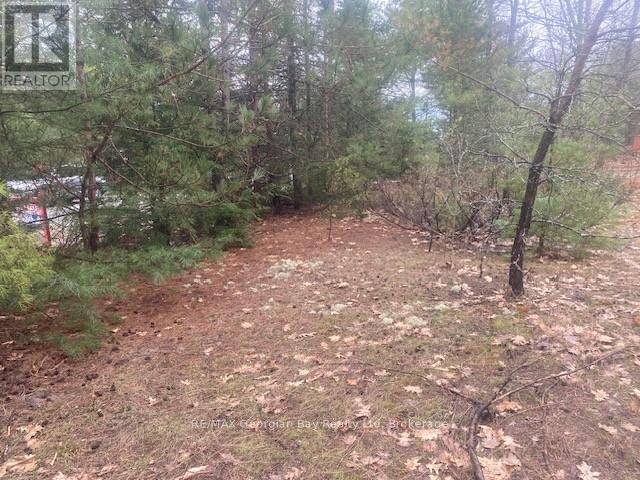 Lot 514 Tall Pines Drive, Tiny, Ontario  L9M 0H7 - Photo 2 - S13078030