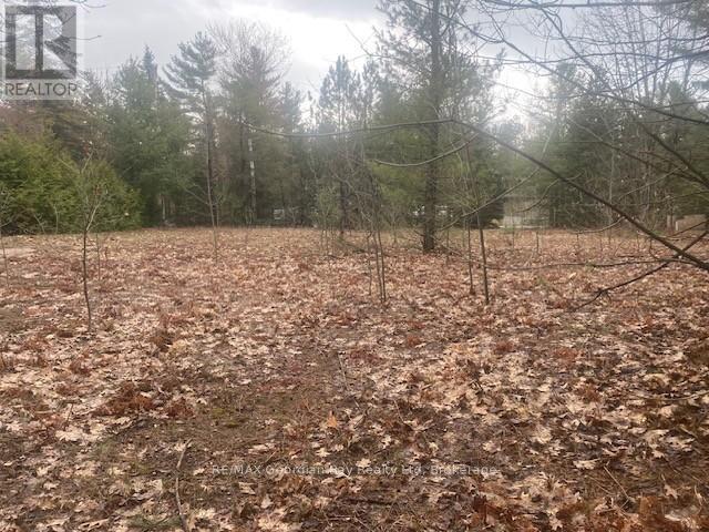 Lot 514 Tall Pines Drive, Tiny, Ontario  L9M 0H7 - Photo 3 - S13078030