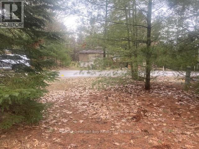 Lot 514 Tall Pines Drive, Tiny, Ontario  L9M 0H7 - Photo 5 - S13078030
