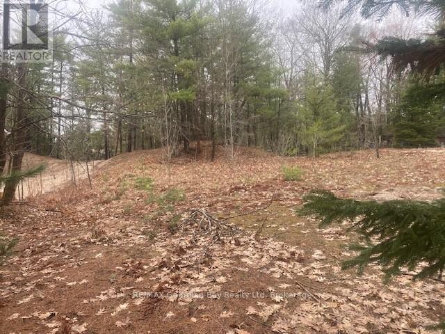 Lot 514 Tall Pines Drive, Tiny, Ontario  L9M 0H7 - Photo 6 - S13078030