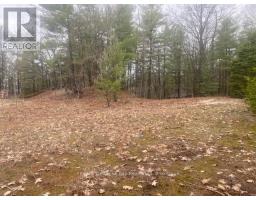 LOT 514 TALL PINES DRIVE, tiny, Ontario