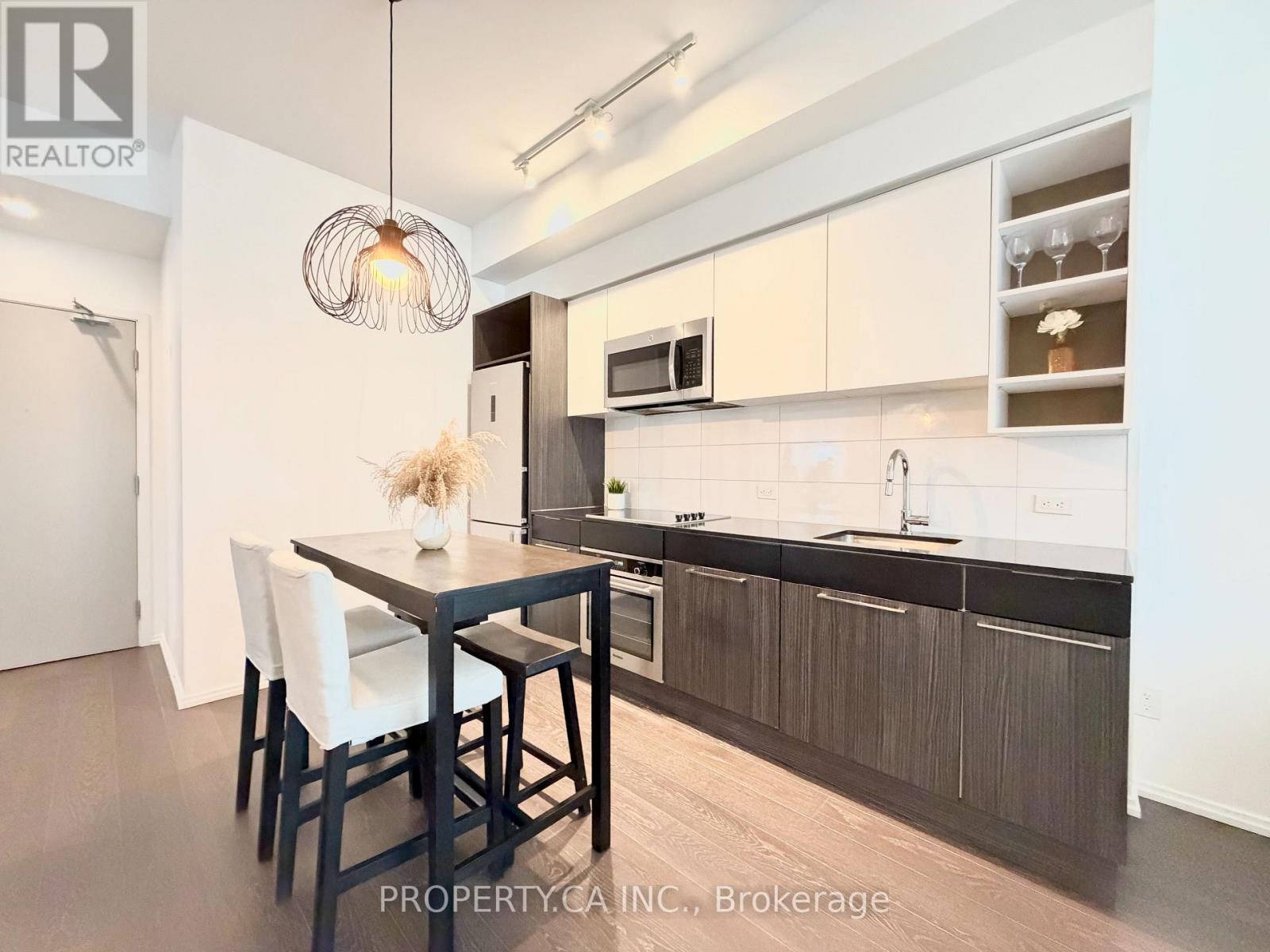 2007 - 68 Shuter Street, Toronto, Ontario  M5B 0B4 - Photo 5 - C13077982