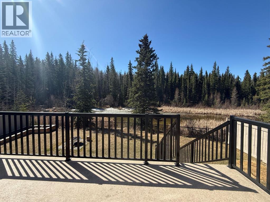128 Berry Place, Hinton, Alberta  T7V 0C1 - Photo 10 - A2301336