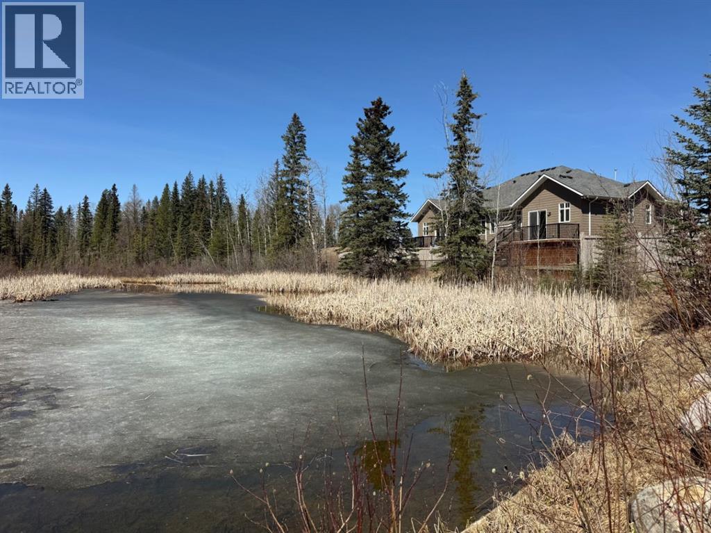 128 Berry Place, Hinton, Alberta  T7V 0C1 - Photo 39 - A2301336