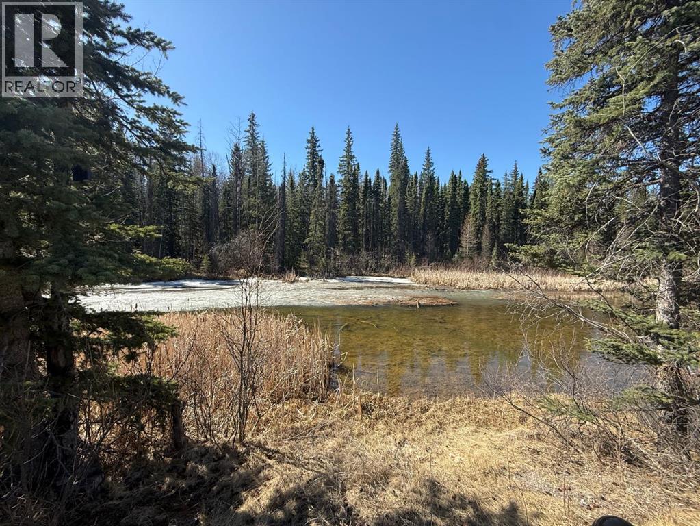 128 Berry Place, Hinton, Alberta  T7V 0C1 - Photo 40 - A2301336