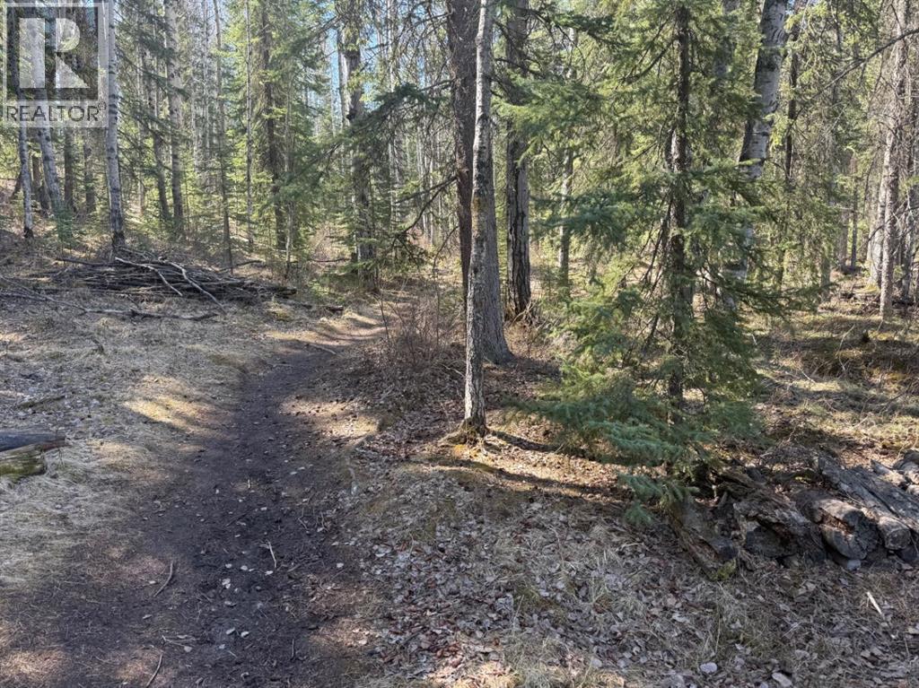 128 Berry Place, Hinton, Alberta  T7V 0C1 - Photo 42 - A2301336