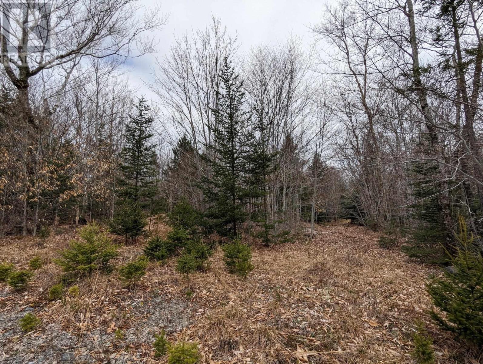 148 Mink Lake Drive, Kemptville, Nova Scotia  B0W 1L0 - Photo 8 - 202602865