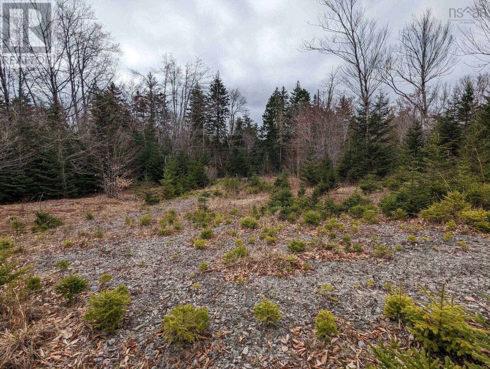 148 Mink Lake Drive, Kemptville, Nova Scotia  B0W 1L0 - Photo 9 - 202602865