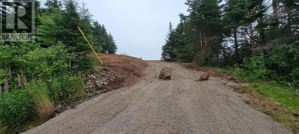 13 King's Road, Marystown, Newfoundland & Labrador  A0E 2M0 - Photo 3 - 1296904
