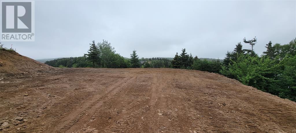 13 King's Road, Marystown, Newfoundland & Labrador  A0E 2M0 - Photo 4 - 1296904