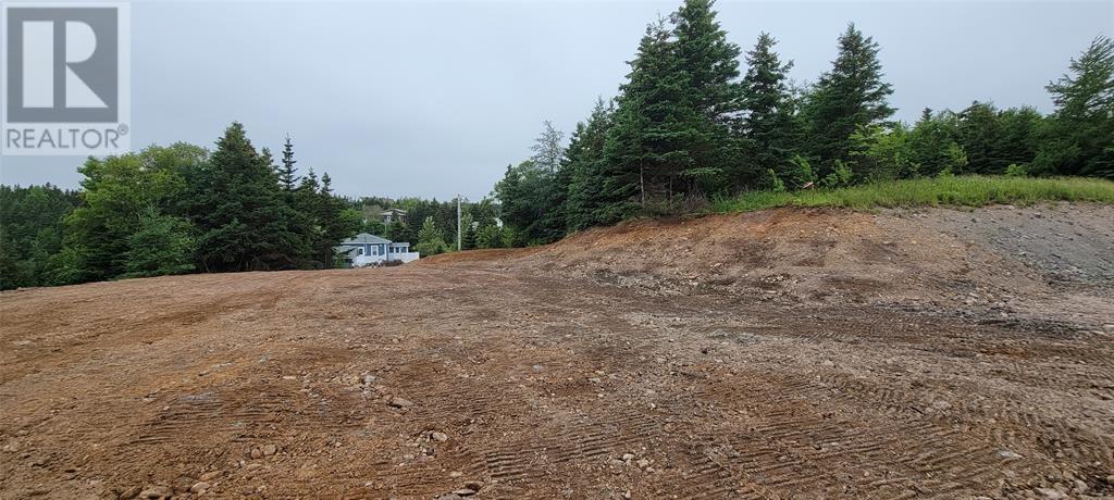 13 King's Road, Marystown, Newfoundland & Labrador  A0E 2M0 - Photo 5 - 1296904