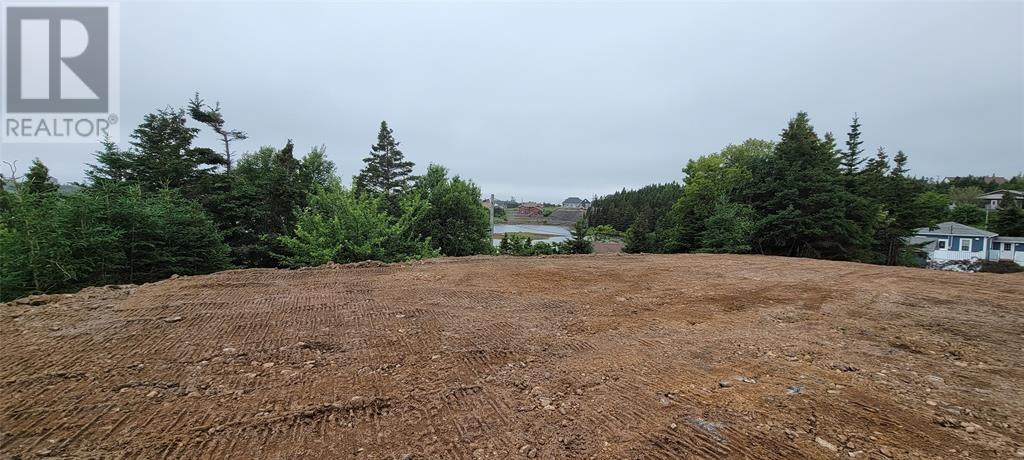 13 King's Road, Marystown, Newfoundland & Labrador  A0E 2M0 - Photo 6 - 1296904