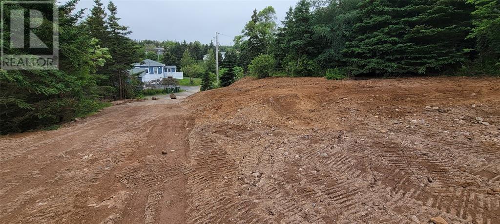 13 King's Road, Marystown, Newfoundland & Labrador  A0E 2M0 - Photo 9 - 1296904
