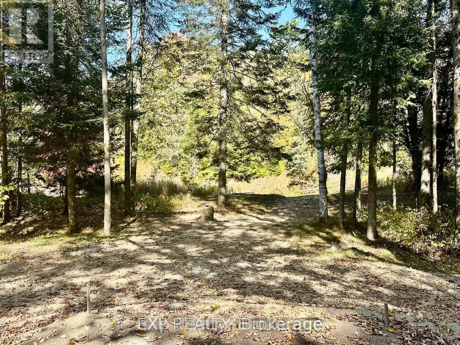 61 Robert Road W, Huntsville, Ontario  P1H 1L4 - Photo 5 - X13078128